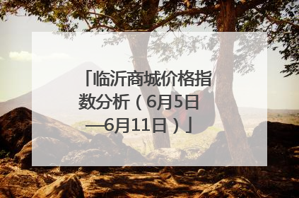 临沂商城价格指数分析（6月5日—6月11日）