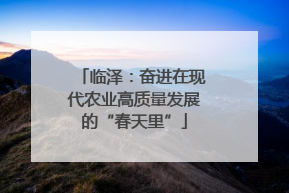 临泽：奋进在现代农业高质量发展的“春天里”