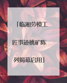 临湘劳模工匠事迹桃矿陈列揭幕启用