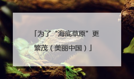 为了“海底草原”更繁茂（美丽中国）