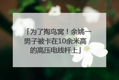 为了掏鸟窝！余姚一男子被卡在10余米高的高压电线杆上