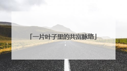 一片叶子里的共富脉络