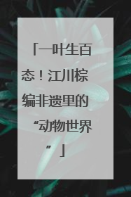 一叶生百态！江川棕编非遗里的“动物世界”