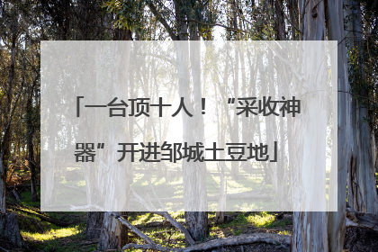 一台顶十人！“采收神器”开进邹城土豆地