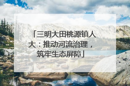 三明大田桃源镇人大：推动河流治理，筑牢生态屏障