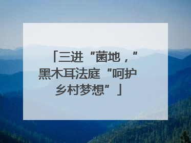 三进“菌地，”黑木耳法庭“呵护乡村梦想”