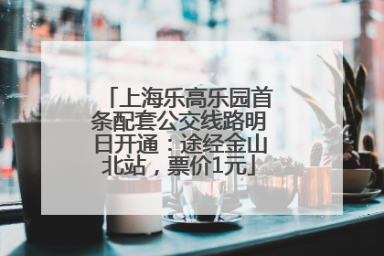 上海乐高乐园首条配套公交线路明日开通：途经金山北站，票价1元