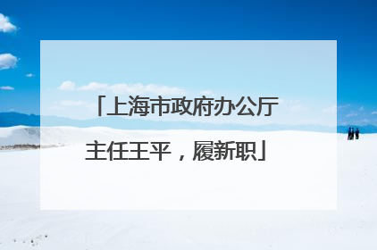 上海市政府办公厅主任王平，履新职