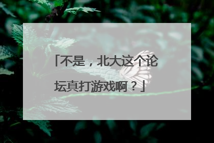 不是，北大这个论坛真打游戏啊？