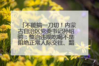 不能搞一刀切！内蒙古自治区党委书记孙绍骋：整治违规吃喝不是阻绝正常人际交往、黯淡人间烟火