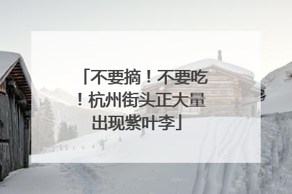 不要摘！不要吃！杭州街头正大量出现紫叶李