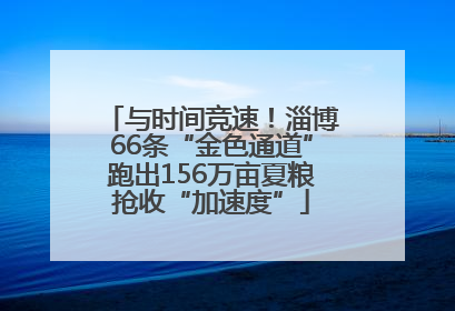 与时间竞速！淄博66条“金色通道”跑出156万亩夏粮抢收“加速度”