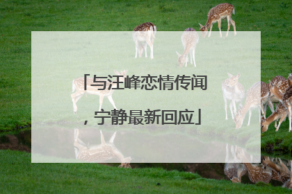 与汪峰恋情传闻，宁静最新回应