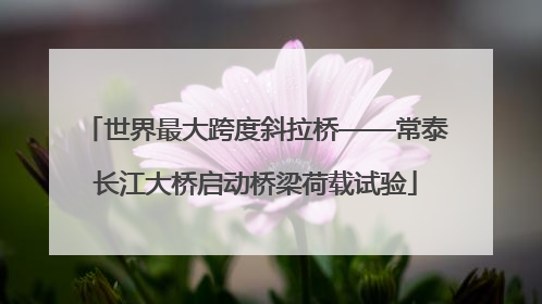 世界最大跨度斜拉桥——常泰长江大桥启动桥梁荷载试验