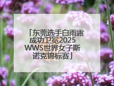 东莞选手白雨露成功卫冕2025WWS世界女子斯诺克锦标赛
