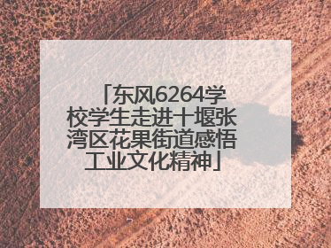 东风6264学校学生走进十堰张湾区花果街道感悟工业文化精神