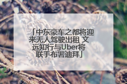 中东豪车之都将迎来无人驾驶出租 文远知行与Uber将联手布署迪拜