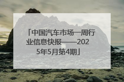 中国汽车市场一周行业信息快报——2025年5月第4期