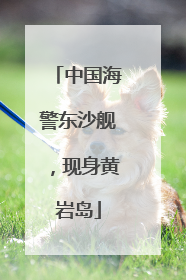 中国海警东沙舰，现身黄岩岛