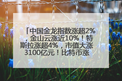 中国金龙指数涨超2%，金山云涨近10%！特斯拉涨超4%，市值大涨3100亿元！比特币涨回11万美元关口