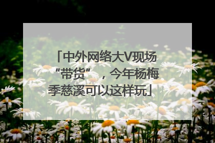 中外网络大V现场“带货”，今年杨梅季慈溪可以这样玩