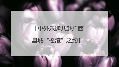 中外乐迷共赴广西县域“摇滚”之约