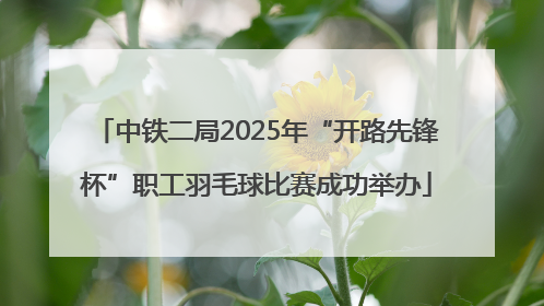 中铁二局2025年“开路先锋杯”职工羽毛球比赛成功举办