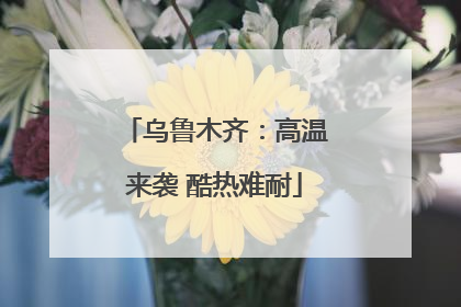 乌鲁木齐：高温来袭 酷热难耐
