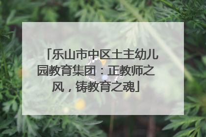 乐山市中区土主幼儿园教育集团：正教师之风，铸教育之魂