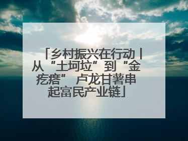 乡村振兴在行动丨从“土坷垃”到“金疙瘩” 卢龙甘薯串起富民产业链