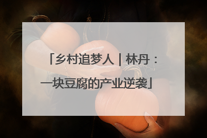 乡村追梦人｜林丹：一块豆腐的产业逆袭