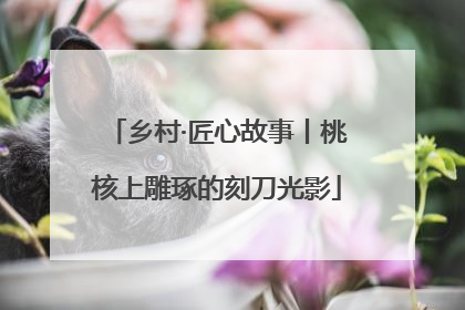 乡村·匠心故事丨桃核上雕琢的刻刀光影