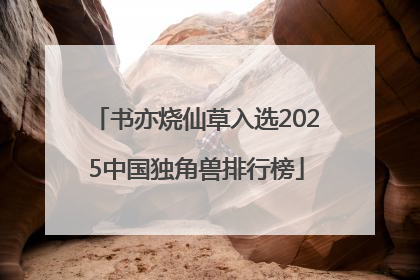 书亦烧仙草入选2025中国独角兽排行榜