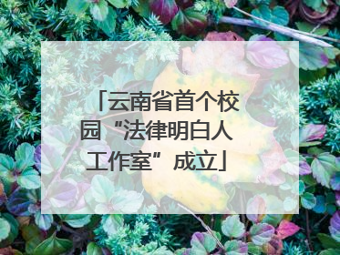 云南省首个校园“法律明白人工作室”成立