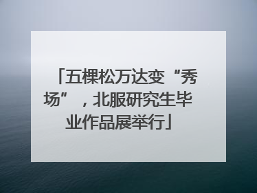 五棵松万达变“秀场”，北服研究生毕业作品展举行