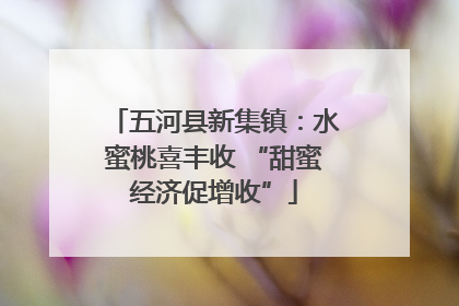 五河县新集镇：水蜜桃喜丰收 “甜蜜经济促增收”