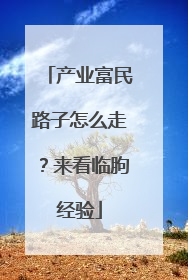 产业富民路子怎么走？来看临朐经验