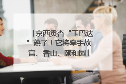 京西贡杏“玉巴达”熟了！它将牵手故宫、香山、颐和园