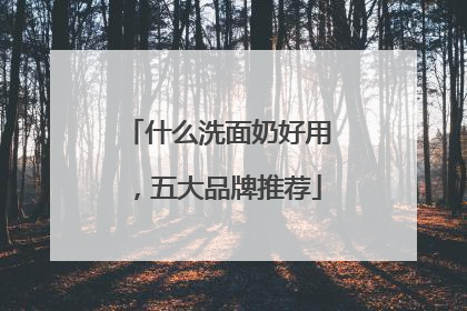 什么洗面奶好用，五大品牌推荐