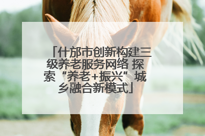 什邡市创新构建三级养老服务网络 探索“养老+振兴”城乡融合新模式