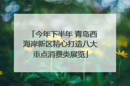 今年下半年 青岛西海岸新区精心打造八大重点消费类展览