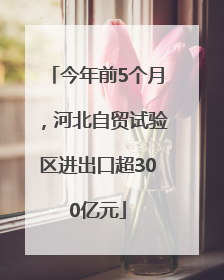 今年前5个月，河北自贸试验区进出口超300亿元