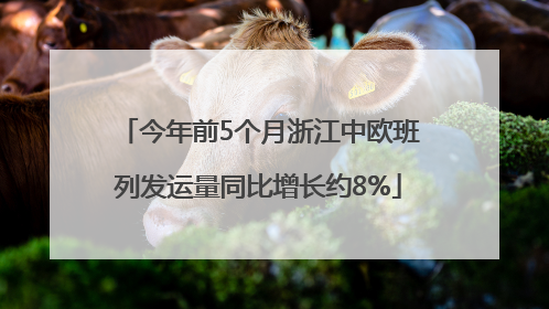 今年前5个月浙江中欧班列发运量同比增长约8%