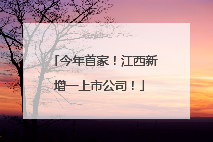 今年首家！江西新增一上市公司！