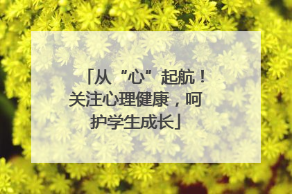 从“心”起航！关注心理健康，呵护学生成长