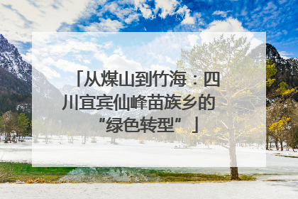 从煤山到竹海：四川宜宾仙峰苗族乡的“绿色转型”