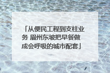 从便民工程到支柱业务 眉州东坡把早餐做成会呼吸的城市配套