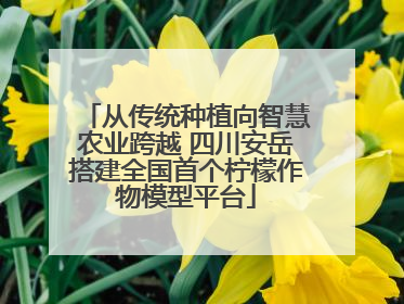 从传统种植向智慧农业跨越 四川安岳搭建全国首个柠檬作物模型平台