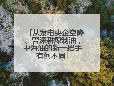 从发电央企空降、曾深耕煤制油，中海油的新一把手有何不同