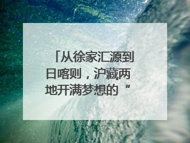 从徐家汇源到日喀则，沪藏两地开满梦想的“格桑花”！